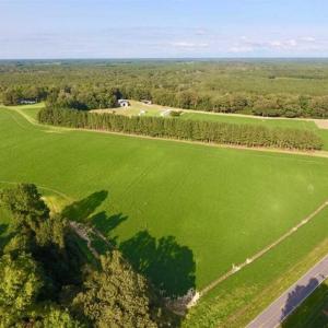 Photo of SOLD!!  148 Acres of Farm and Timber Land & 25% Interest in 128 Acres of Timber Land For Sale in Wilson County NC!