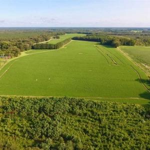 Photo of SOLD!!  148 Acres of Farm and Timber Land & 25% Interest in 128 Acres of Timber Land For Sale in Wilson County NC!