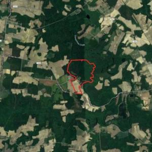 Photo of SOLD!!  148 Acres of Farm and Timber Land & 25% Interest in 128 Acres of Timber Land For Sale in Wilson County NC!