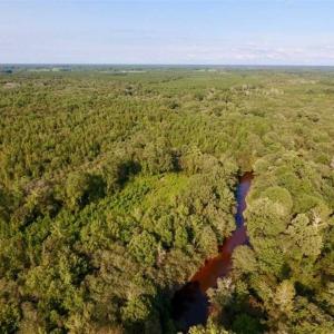 Photo of SOLD!!  148 Acres of Farm and Timber Land & 25% Interest in 128 Acres of Timber Land For Sale in Wilson County NC!