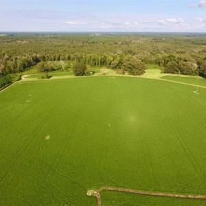 Photo of SOLD!!  148 Acres of Farm and Timber Land & 25% Interest in 128 Acres of Timber Land For Sale in Wilson County NC!