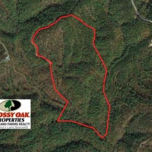 Photo of SOLD!!  55 Acres of Hunting and Recreational Land For Sale in Alleghany County VA!