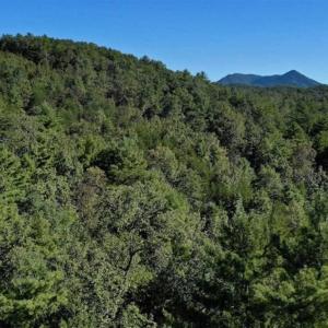Photo of SOLD!!  55 Acres of Hunting and Recreational Land For Sale in Alleghany County VA!