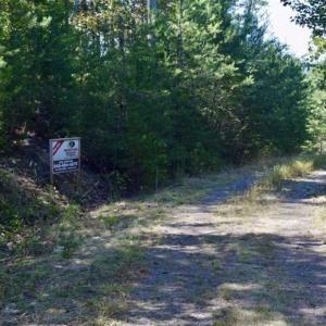 Photo of SOLD!!  55 Acres of Hunting and Recreational Land For Sale in Alleghany County VA!