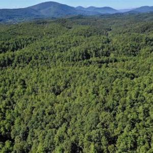 Photo of SOLD!!  55 Acres of Hunting and Recreational Land For Sale in Alleghany County VA!