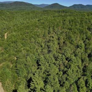 Photo of SOLD!!  55 Acres of Hunting and Recreational Land For Sale in Alleghany County VA!
