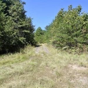 Photo of SOLD!!  55 Acres of Hunting and Recreational Land For Sale in Alleghany County VA!