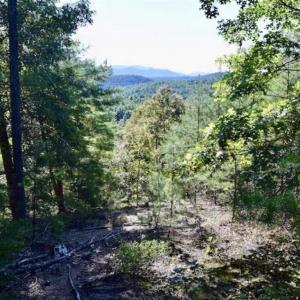 Photo of SOLD!!  55 Acres of Hunting and Recreational Land For Sale in Alleghany County VA!