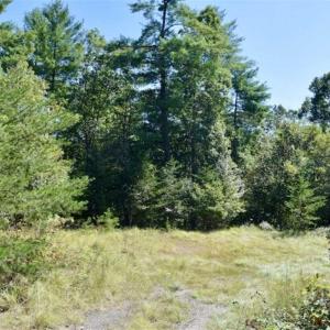 Photo of SOLD!!  55 Acres of Hunting and Recreational Land For Sale in Alleghany County VA!