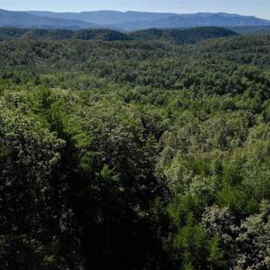 Photo of SOLD!!  55 Acres of Hunting and Recreational Land For Sale in Alleghany County VA!
