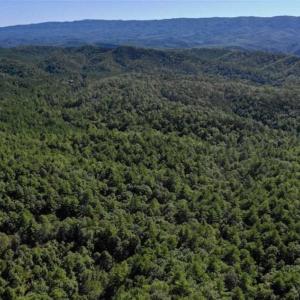 Photo of SOLD!!  55 Acres of Hunting and Recreational Land For Sale in Alleghany County VA!