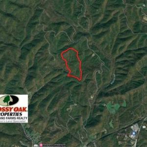Photo of SOLD!!  55 Acres of Hunting and Recreational Land For Sale in Alleghany County VA!