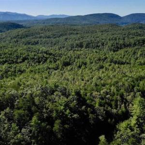 Photo of SOLD!!  55 Acres of Hunting and Recreational Land For Sale in Alleghany County VA!