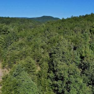 Photo of SOLD!!  55 Acres of Hunting and Recreational Land For Sale in Alleghany County VA!