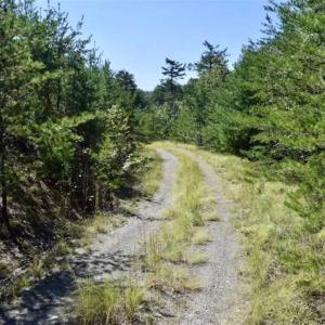 Photo of SOLD!!  55 Acres of Hunting and Recreational Land For Sale in Alleghany County VA!