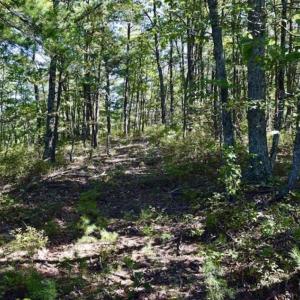 Photo of SOLD!!  55 Acres of Hunting and Recreational Land For Sale in Alleghany County VA!