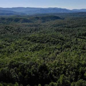 Photo of SOLD!!  55 Acres of Hunting and Recreational Land For Sale in Alleghany County VA!