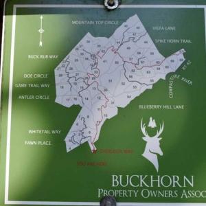 Photo of SOLD!!  55 Acres of Hunting and Recreational Land For Sale in Alleghany County VA!