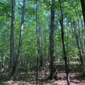 Photo of SOLD!!  7.6 Acres of Residential Land For Sale in Franklin County NC!
