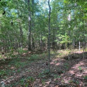 Photo of SOLD!!  7.6 Acres of Residential Land For Sale in Franklin County NC!