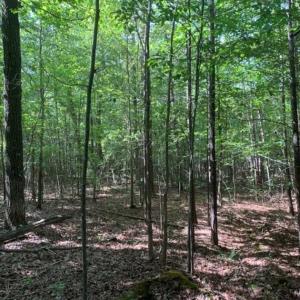 Photo of SOLD!!  7.6 Acres of Residential Land For Sale in Franklin County NC!