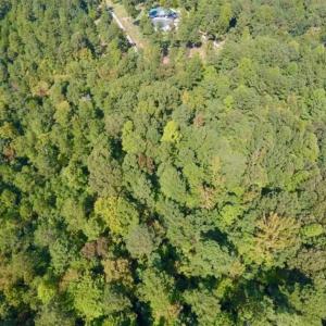 Photo of SOLD!!  7.6 Acres of Residential Land For Sale in Franklin County NC!