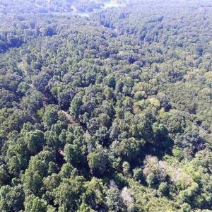 Photo of 35.57 Acres of Recreational and Hunting Land For Sale in Bedford County VA!