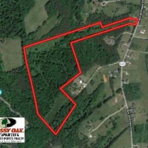 Photo of 35.57 Acres of Recreational and Hunting Land For Sale in Bedford County VA!