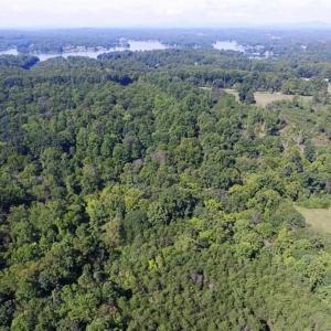 Photo of 35.57 Acres of Recreational and Hunting Land For Sale in Bedford County VA!