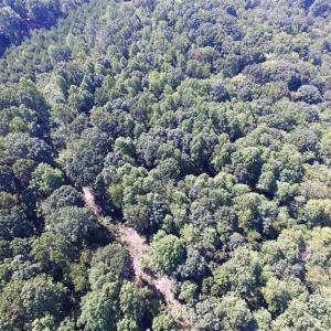Photo of 35.57 Acres of Recreational and Hunting Land For Sale in Bedford County VA!