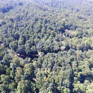 Photo of 35.57 Acres of Recreational and Hunting Land For Sale in Bedford County VA!