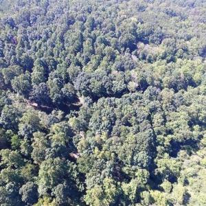Photo of 35.57 Acres of Recreational and Hunting Land For Sale in Bedford County VA!