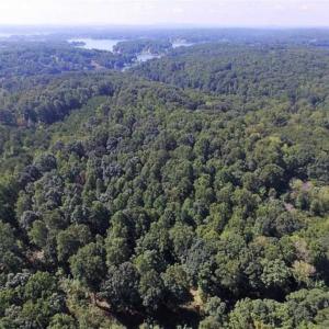 Photo of 35.57 Acres of Recreational and Hunting Land For Sale in Bedford County VA!