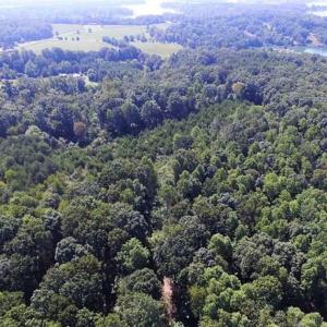 Photo of 35.57 Acres of Recreational and Hunting Land For Sale in Bedford County VA!