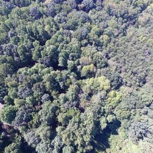 Photo of 35.57 Acres of Recreational and Hunting Land For Sale in Bedford County VA!