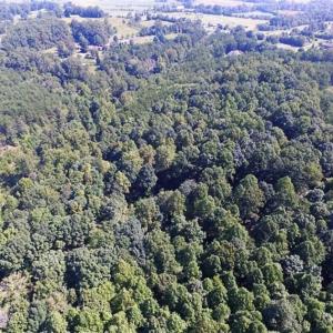 Photo of 35.57 Acres of Recreational and Hunting Land For Sale in Bedford County VA!