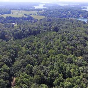 Photo of 35.57 Acres of Recreational and Hunting Land For Sale in Bedford County VA!