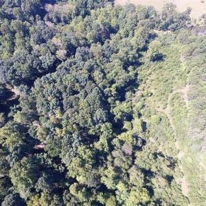 Photo of 35.57 Acres of Recreational and Hunting Land For Sale in Bedford County VA!