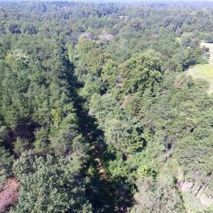 Photo of 35.57 Acres of Recreational and Hunting Land For Sale in Bedford County VA!