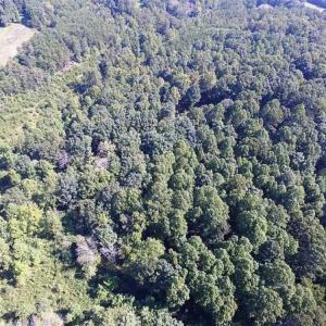 Photo of 35.57 Acres of Recreational and Hunting Land For Sale in Bedford County VA!