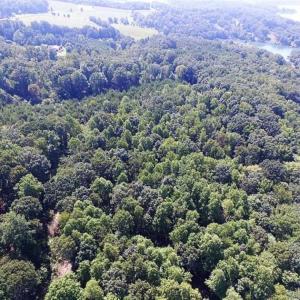 Photo of 35.57 Acres of Recreational and Hunting Land For Sale in Bedford County VA!