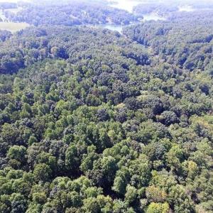 Photo of 35.57 Acres of Recreational and Hunting Land For Sale in Bedford County VA!