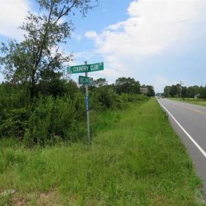 Photo of 265 Acres of Timber and Hunting Land For Sale in Duplin County NC!
