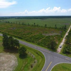 Photo of 265 Acres of Timber and Hunting Land For Sale in Duplin County NC!