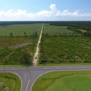 Photo of 348 Acres of Timber and Hunting Land For Sale in Duplin County NC!