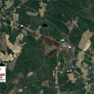Photo of 233 Acres of Timber and Hunting Land For Sale in Bladen County NC!
