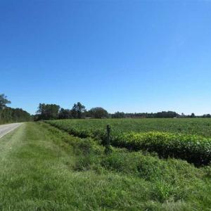 Photo of SOLD!!  97 Acres of Farm and Timber Land For Sale in Columbus County NC!
