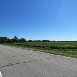 Photo of SOLD!!  97 Acres of Farm and Timber Land For Sale in Columbus County NC!