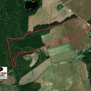 Photo of SOLD!!  97 Acres of Farm and Timber Land For Sale in Columbus County NC!