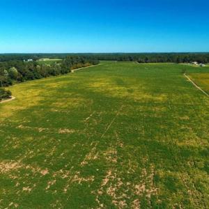 Photo of SOLD!!  97 Acres of Farm and Timber Land For Sale in Columbus County NC!
